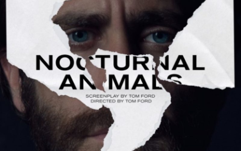 Animales nocturnos