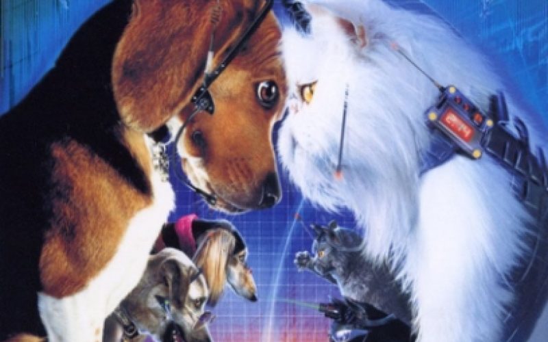 Como perros y gatos
