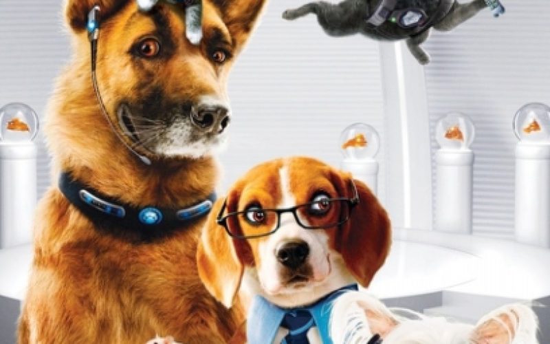 Como perros y gatos: La venganza de Kitty Galore