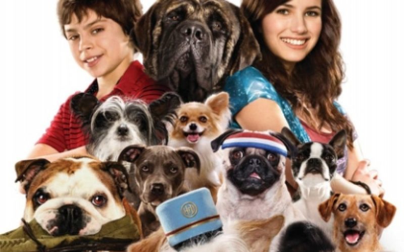 Hotel para perros