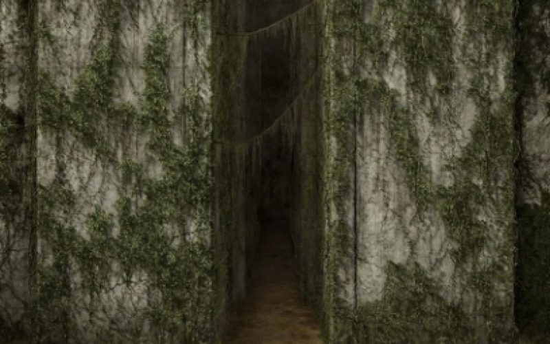 The Maze Runner